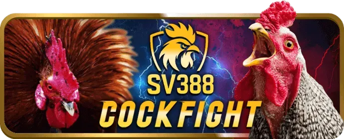 Ưu Đãi Chào Mừng Thành Viên Mới 678wim nhà cái